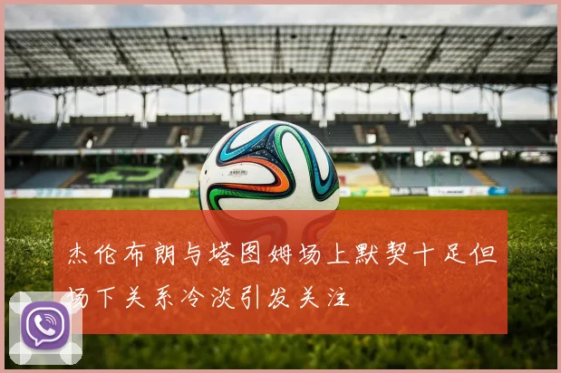 杰伦布朗与塔图姆场上默契十足但场下关系冷淡引发关注